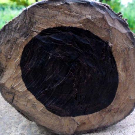 ✨ Karungali Silver Cap Malai – Certified | Pure Ebony Wood | 54 Beads (6-8 mm) ✨