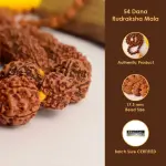 🔱 Charutty – 5 Mukhi Rudraksha Mala (54  to 108 Beads) | 17-22 mm 🔱