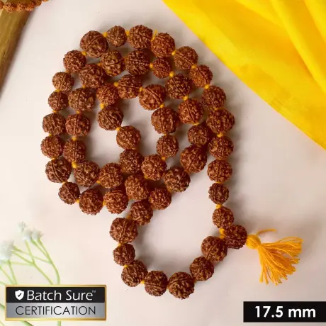 🔱 Charutty – 5 Mukhi Rudraksha Mala (54  to 108 Beads) | 17-22 mm 🔱